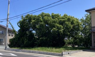 鳥浜売土地　58.08坪①